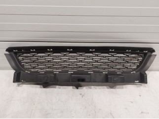 Lower Grille